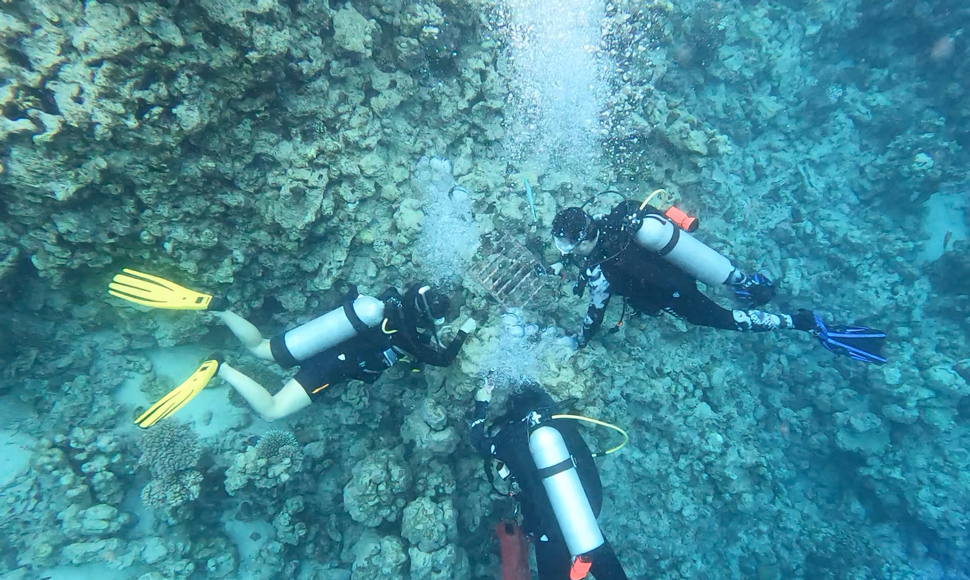 FEBRUARY 15: Extreme E drivers diving and observing the coral at legacy day Kaust Marina during the Saudi Arabia on February 15, 2024. (Photo by Sam Bagnall / LAT Images)